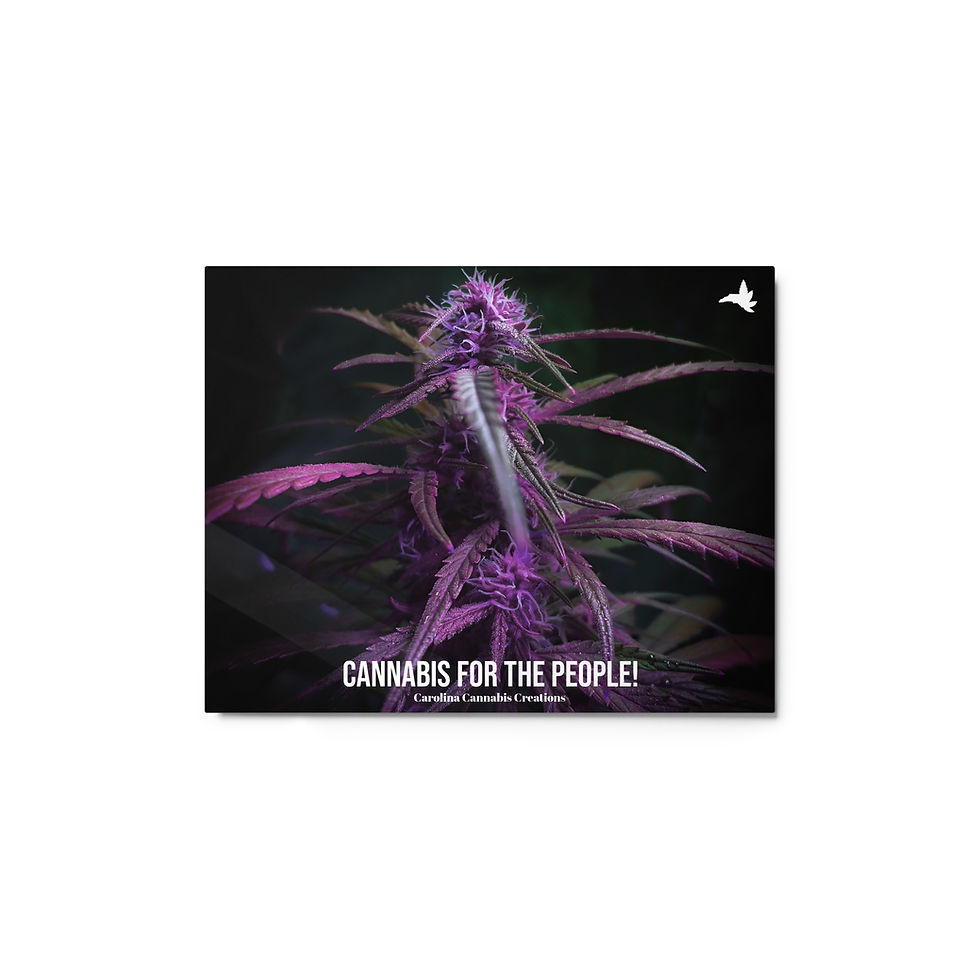 Miniatyrbild: Purple Cannabis Metal Print