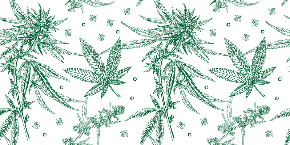 CC Creations Plant Pattern Background