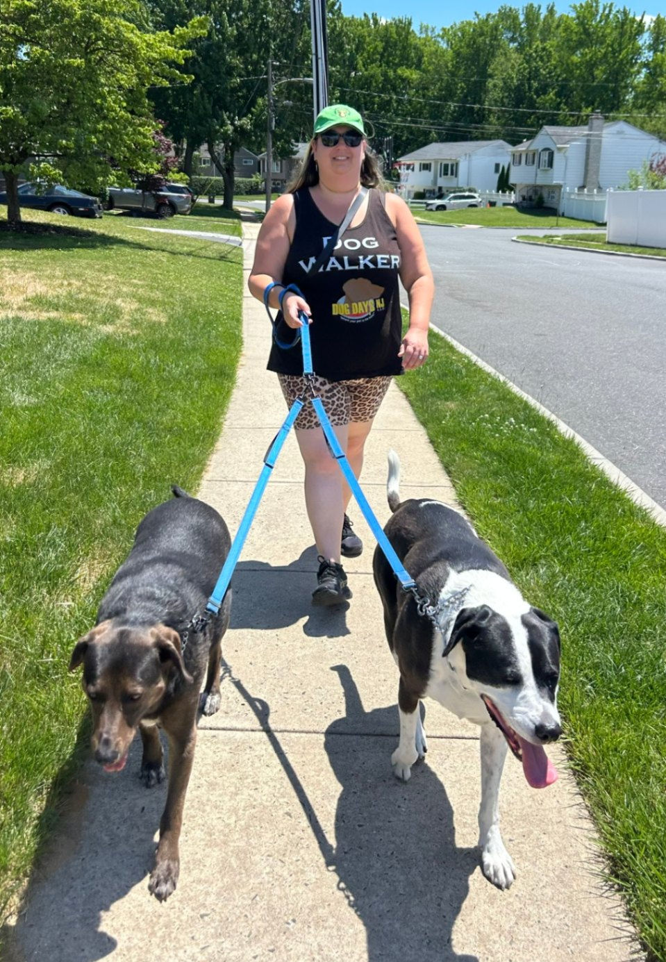 Dog Days NJ dog walker Michaela walking two mixed-breed dogs during a dog walking visit in Hazlet, New Jersey.