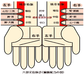 脈診治療【森はり・きゅう整骨院】