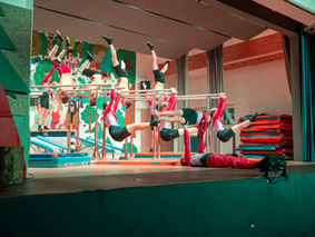 Entschleunigung im Stammer Wald