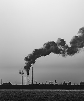 Earth's cancer._edited.jpg