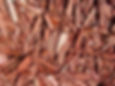 Red Bark
