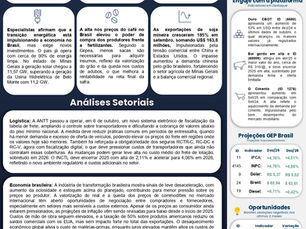 WEEKLY REPORT 26/10/2025 – 02/11/2025