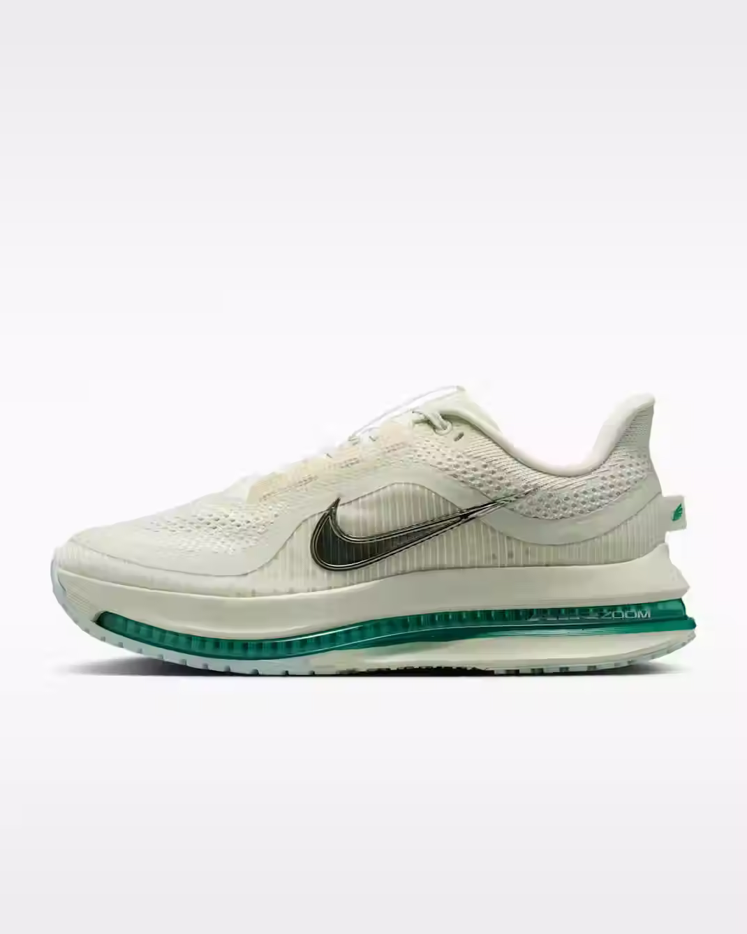 ナイキ ペガサス プレミアム ウィメンズ ロード ランニングシューズ HQ2593 008
