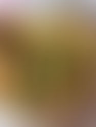 Pasta con gamberetti, zucchine e pomodorini