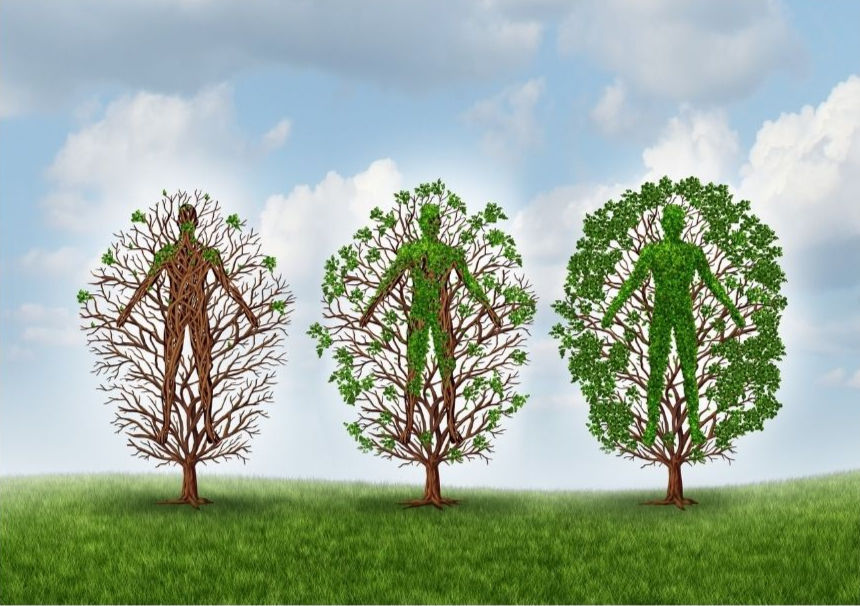 Framework for Recovery