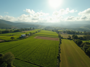 Aposentadoria rural explicada: Guia completo para segurados especiais