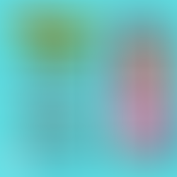 Fraudes no INSS: Aposentados Têm Até 14 de Novembro Para Reaver Valores Descontados Indevidamente