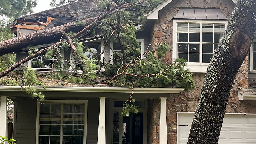 A pine tree has fallen onto a house during Hurricane Beryl in The Woodlands, Texas