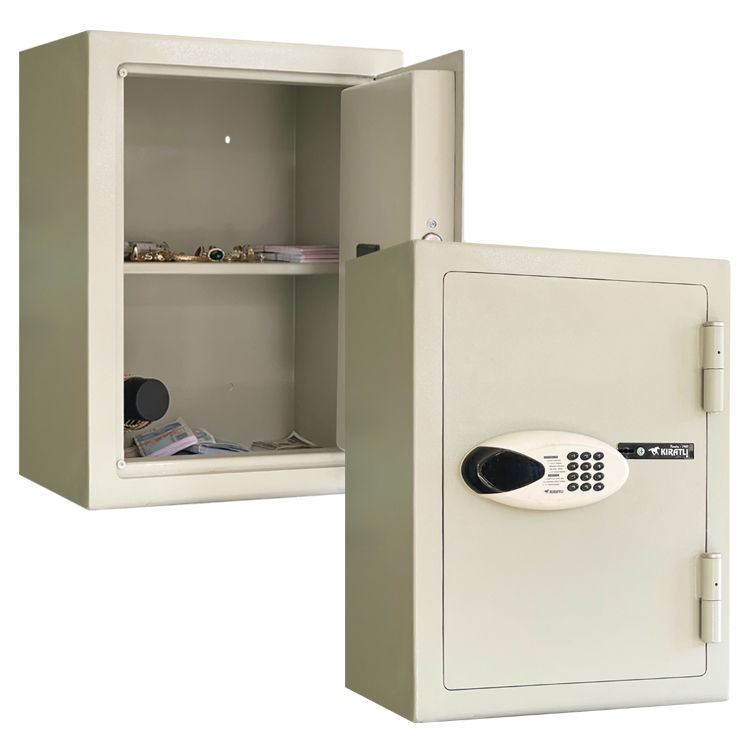 Model 2055 EM