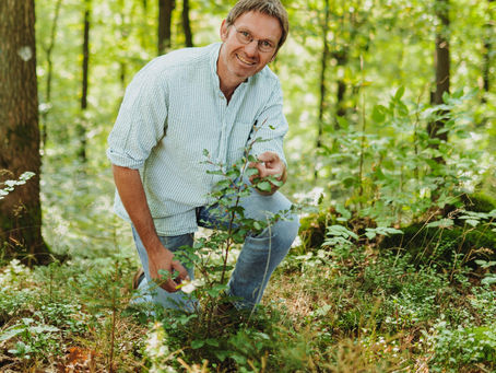 Fragen zum gesunden Wald