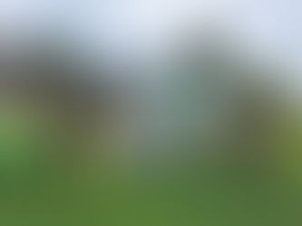 Nationalpark ist wie Landesgartenschau