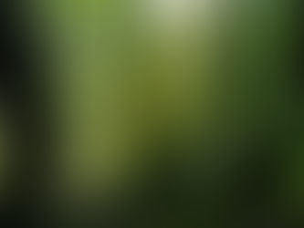 Auf dem Weg zur Hölle das Gaspedal durchdrücken