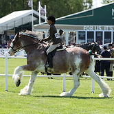 WhatsApp Image 2026-03-24 at 07.28.07.jpeg