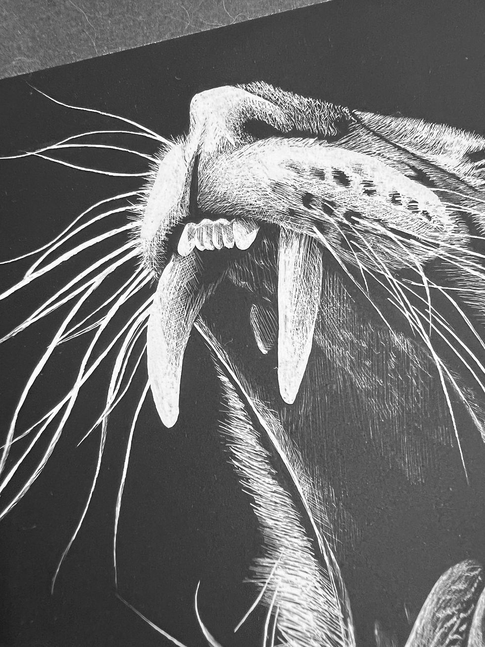Thumbnail: Leopardo - Award Winner