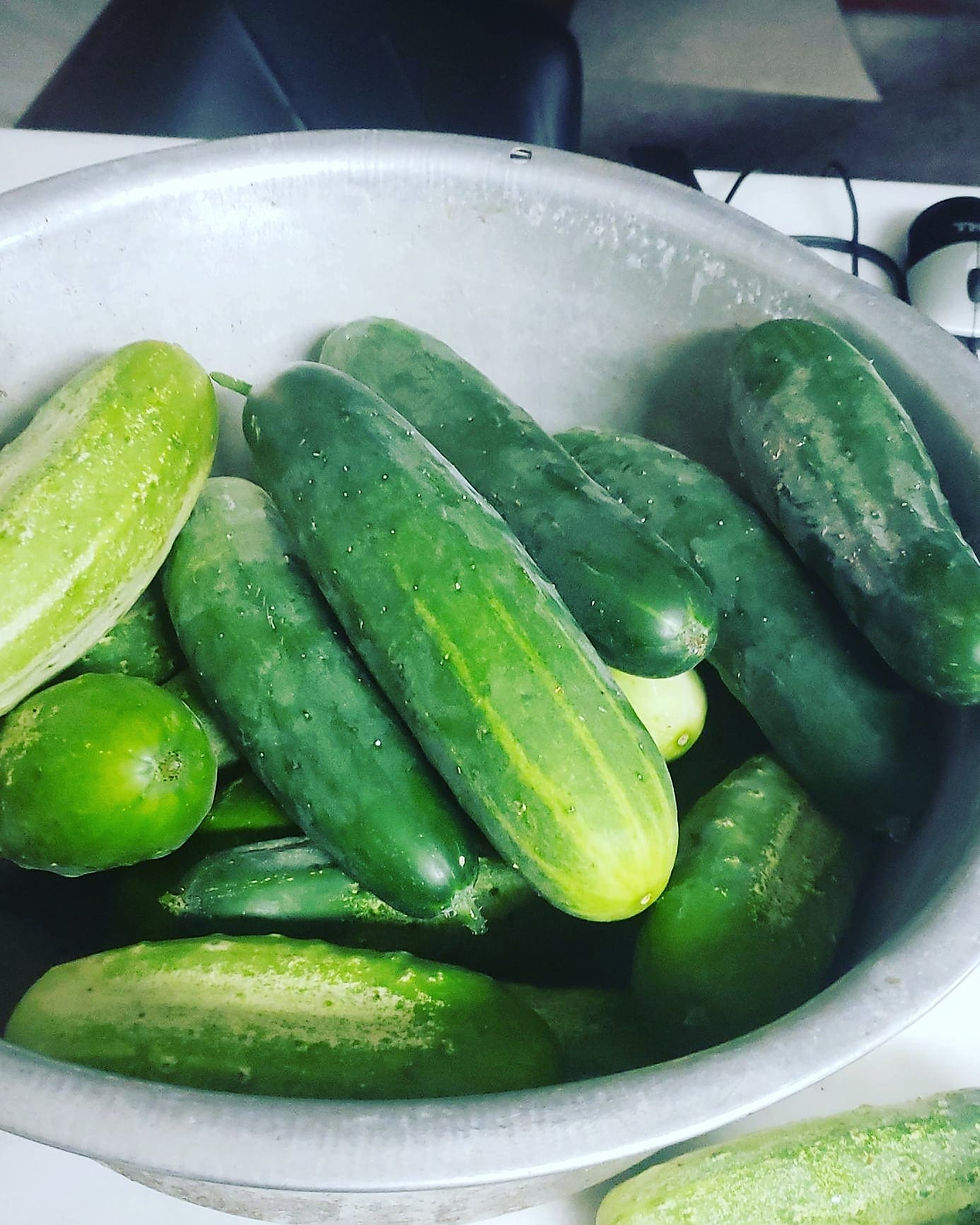 Thumbnail: Cucumbers
