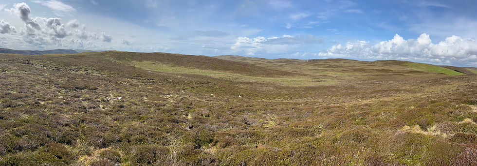 Site in Focus - O'er da Wast Hill