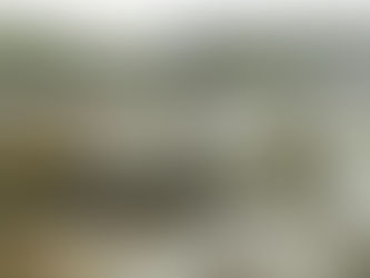 Site in Focus - Broch of Clickimin