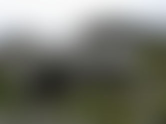 Site in Focus - WWII on Staney Hill