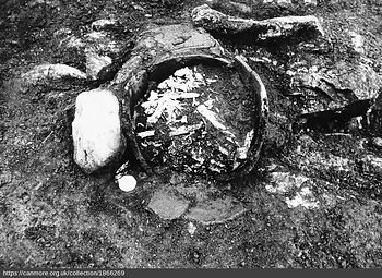 Figure 1. Bronze Age cremation urn (Photo Canmore 1990: AOC 1127 Film 47).