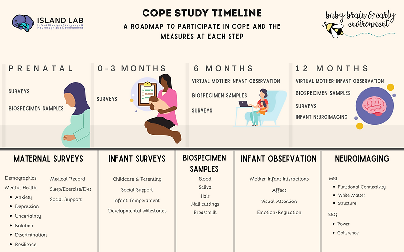 COPE Timeline (Research Facing) Edit.png