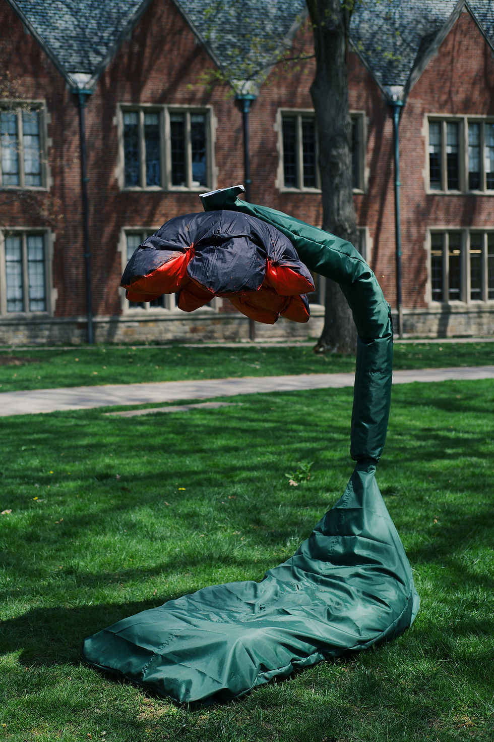 C3B4D2F2-0996-4159-9881-166EC100CED2