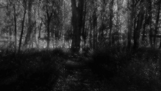 frame0000_bosque_los_condores_15x30cm_fo