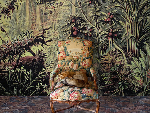 1. Pelos, huesos, garras, plumas  y una breve secuencia de pormenores,  Nora Aslan, 2015, 