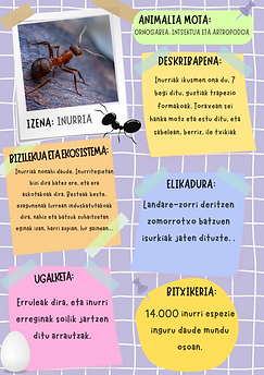 ITSATSI HEMEN ARGAZKIA.png