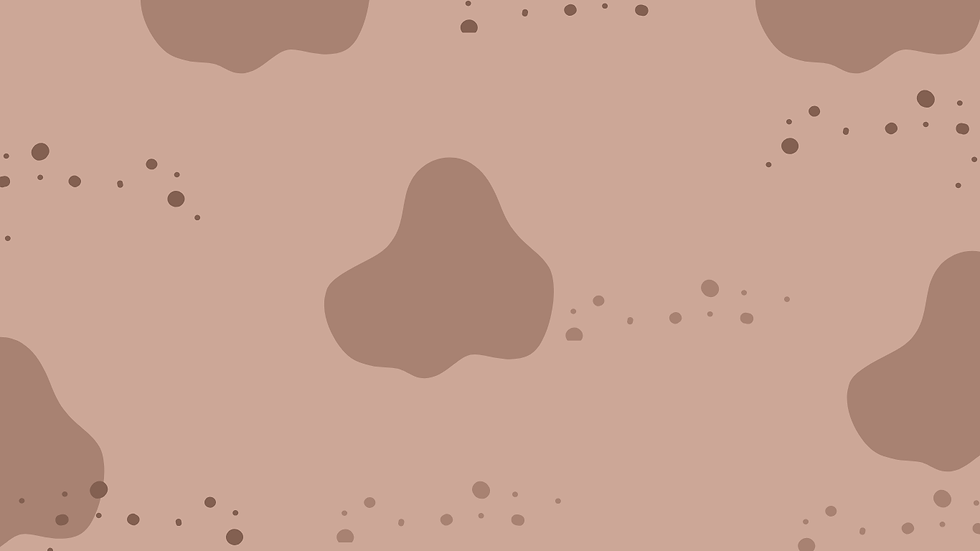 Naranja Negocios Servicios Sitio Web.png