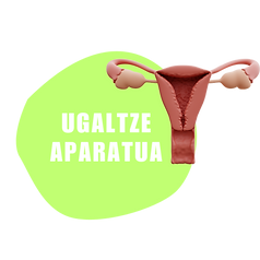 11.png