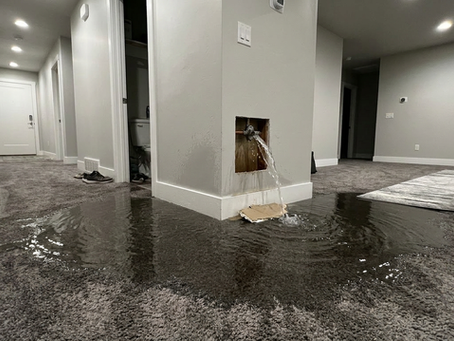 Why Fast Water Damage Cleanup Matters    After a Flood