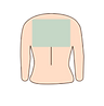 all-12.png