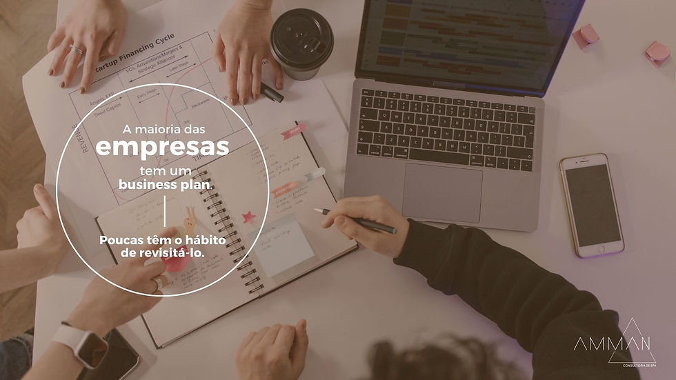 Business Plan para SPA's