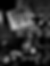 Gabba gabba hey_Joey_Paul Natkin.png