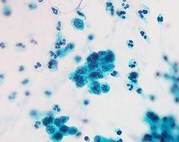 CC20-01775-8.jpg