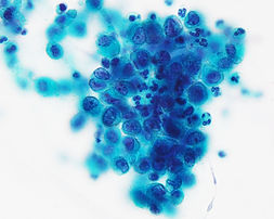 CC20-01775-5.jpg
