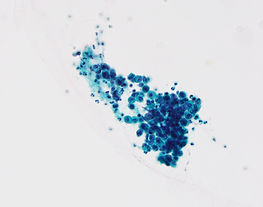 CC20-01775-4.jpg