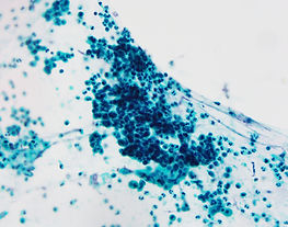 CC20-01775-6.jpg