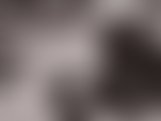 IPS BODYGUARD training