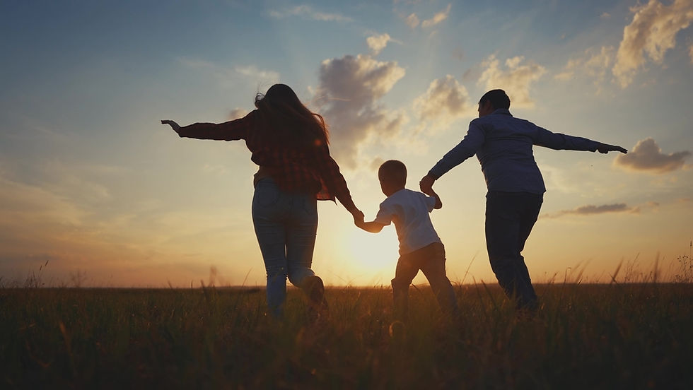 Two adults holding a child's hand in a field at sunset.
