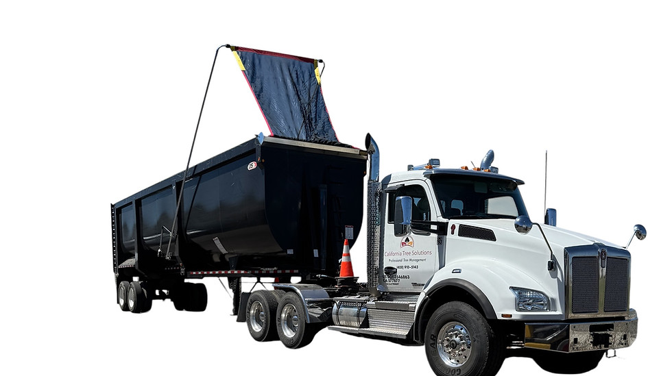 Photoroom_20250818_140820 (1).JPG