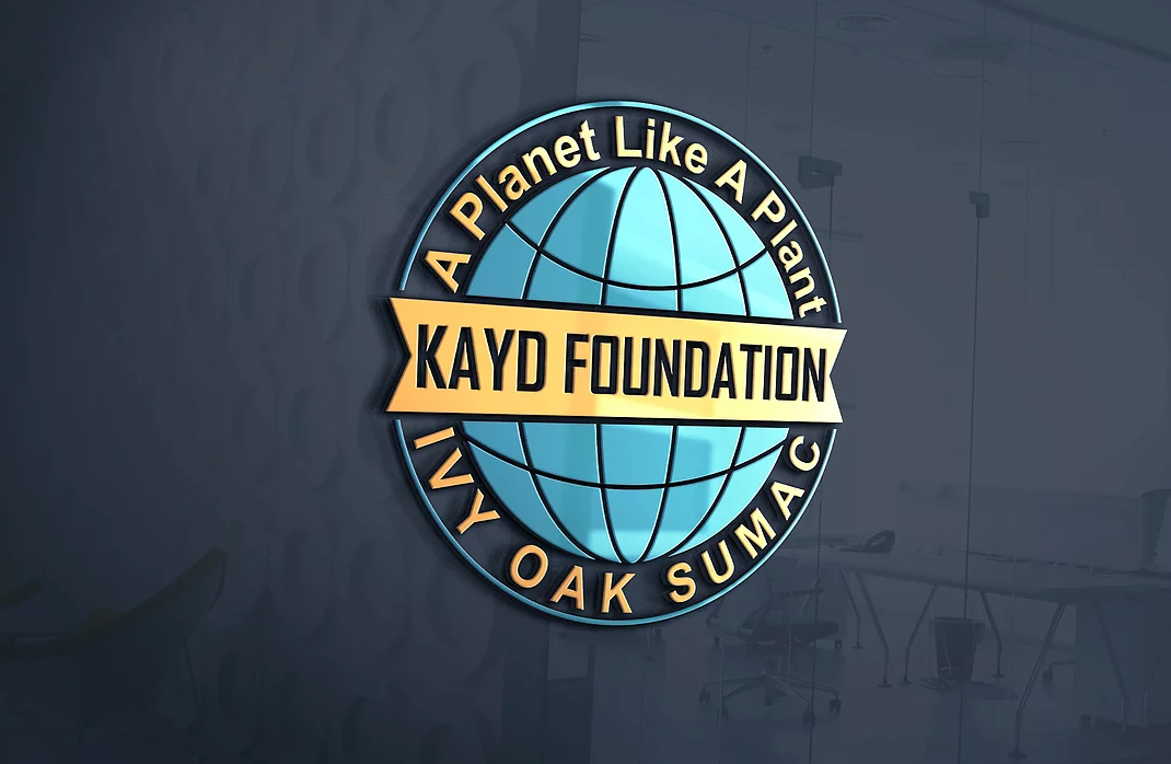 Kayd Foundation Inc logo