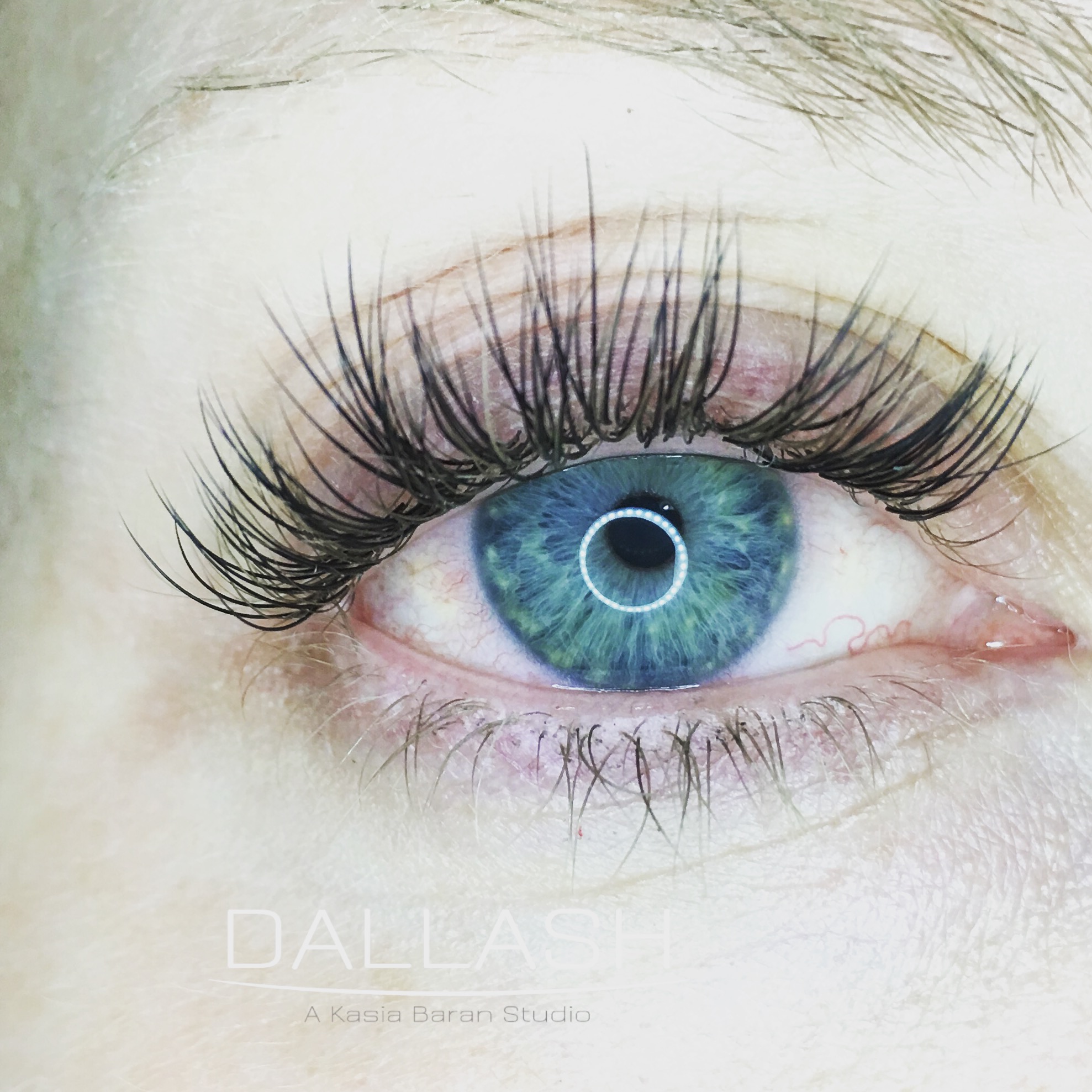 CLASSIC LASHES