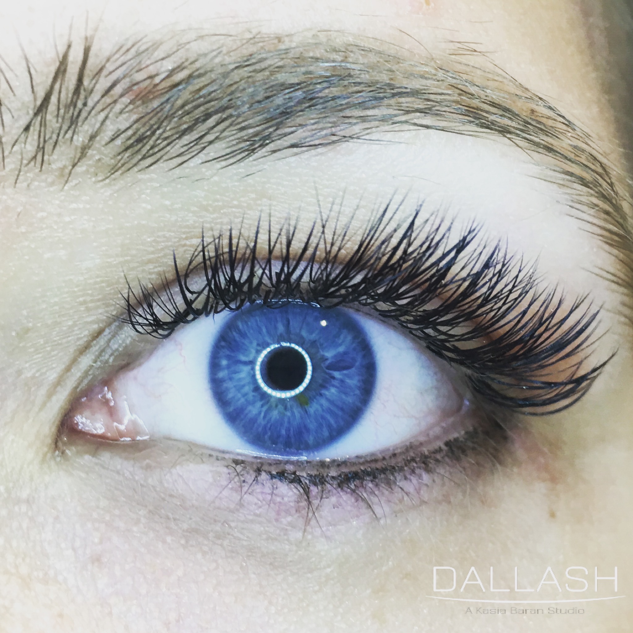 VOLUME LASHES