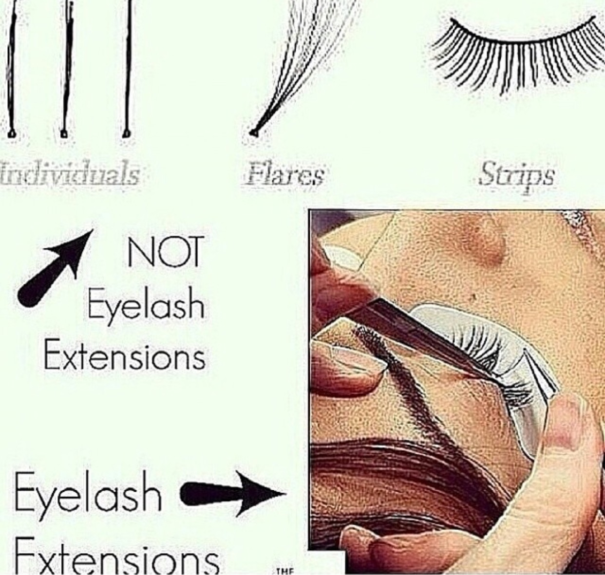 LASH EXTENSIONS VS. FALSE EYELASHES DALLASH / Lash Extensions/Eminence Facials/Airbrush Tan