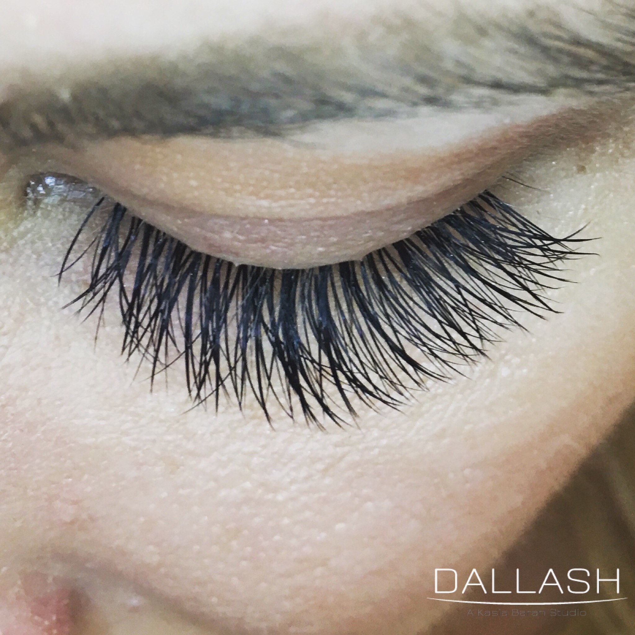 VOLUME LASHES