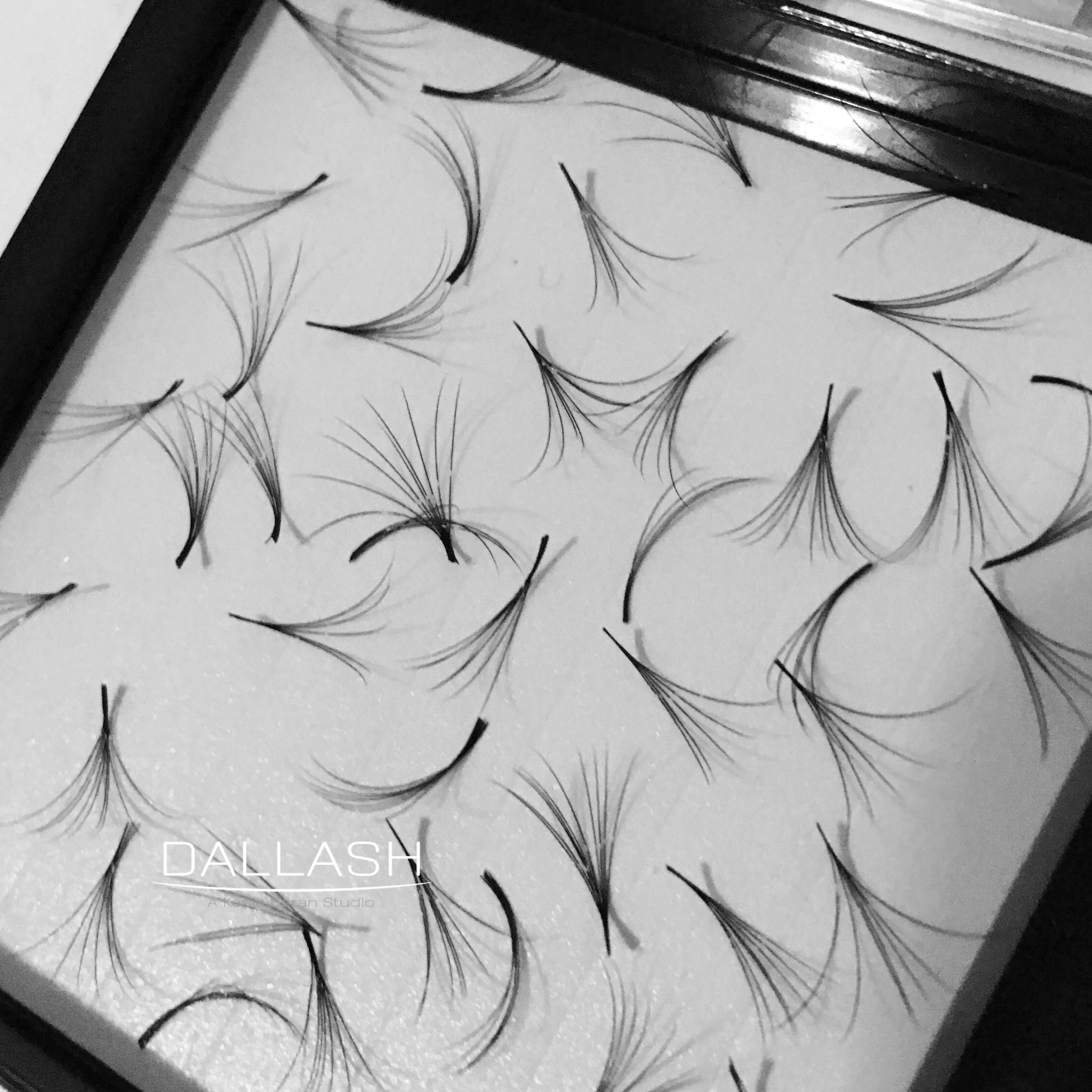 PRETTY VOLUME FANS