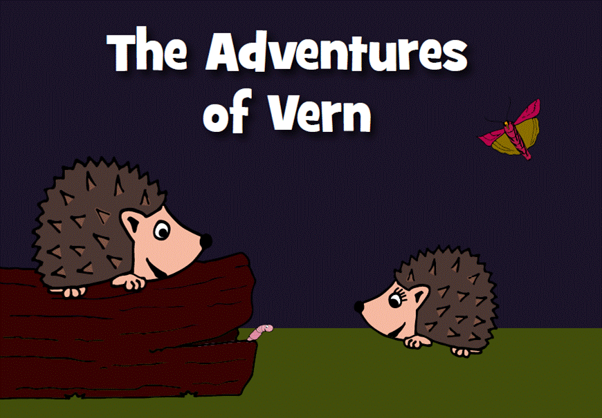 The Adventures of Vern- paperback